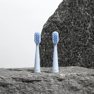 Têtes de Brosse à Dents Sonique